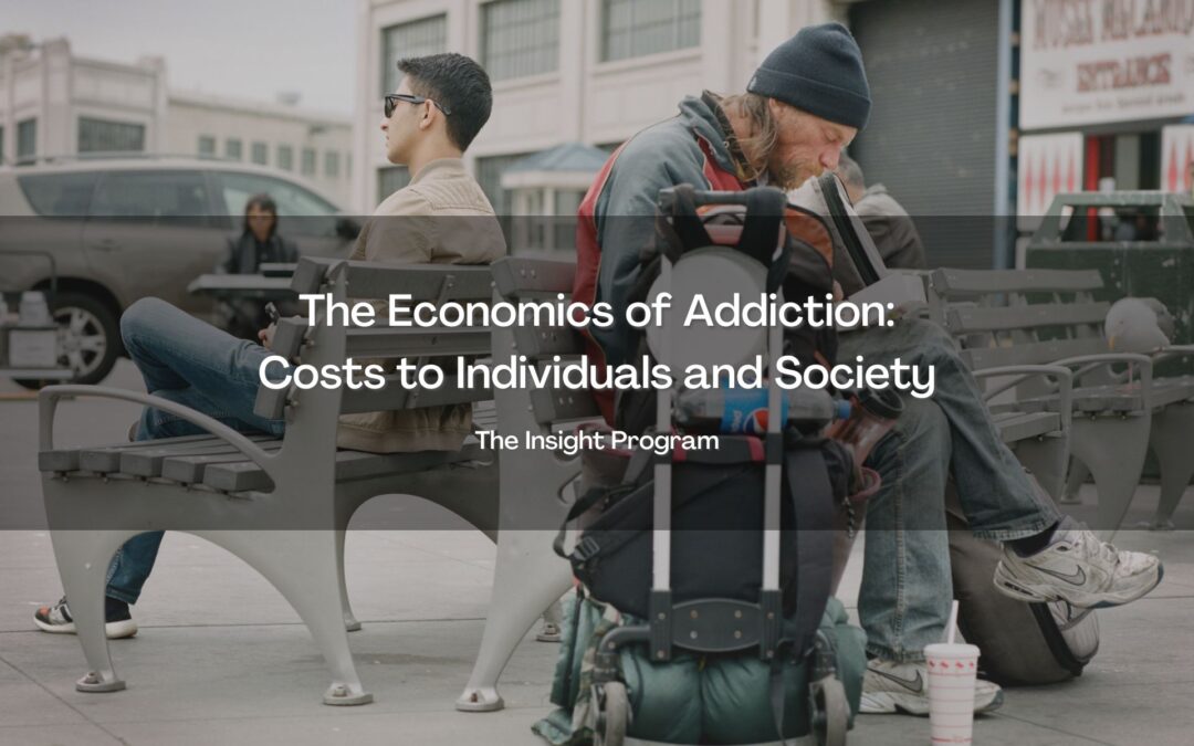 The Economics of Addiction: Costs to Individuals and Society